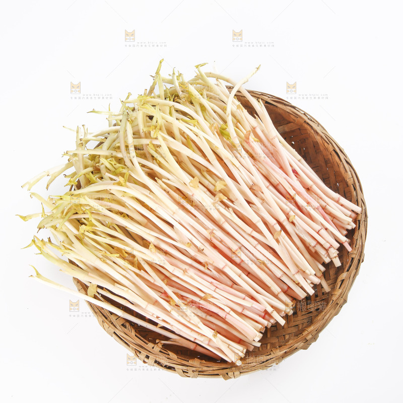 一篮折耳根嫩芽
