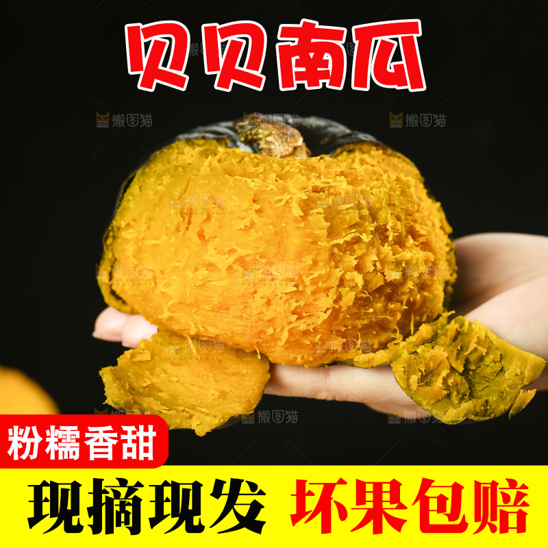 手里拿着贝贝南瓜