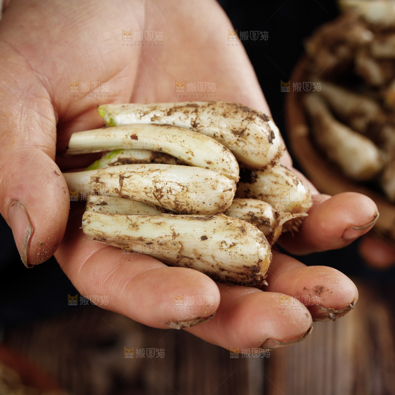 手里拿着荞头