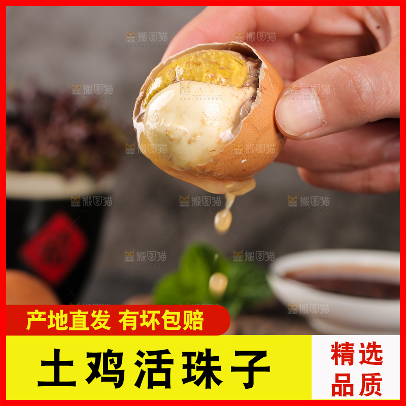 手里拿着凤凰蛋
