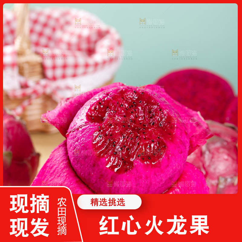 手里拿着红心火龙果