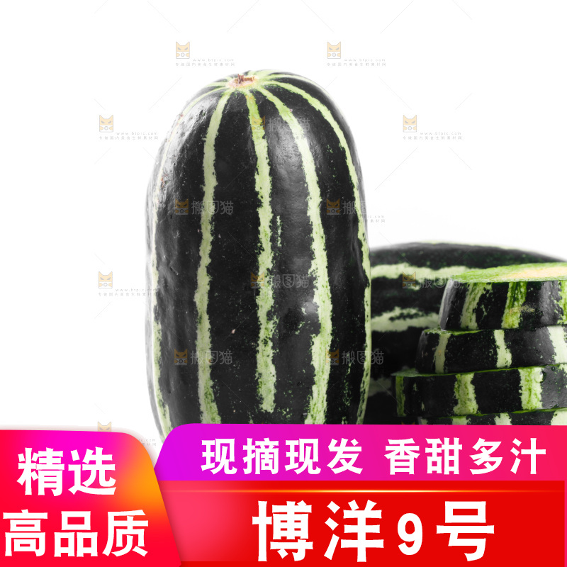 白底上放着一堆博洋9号甜瓜
