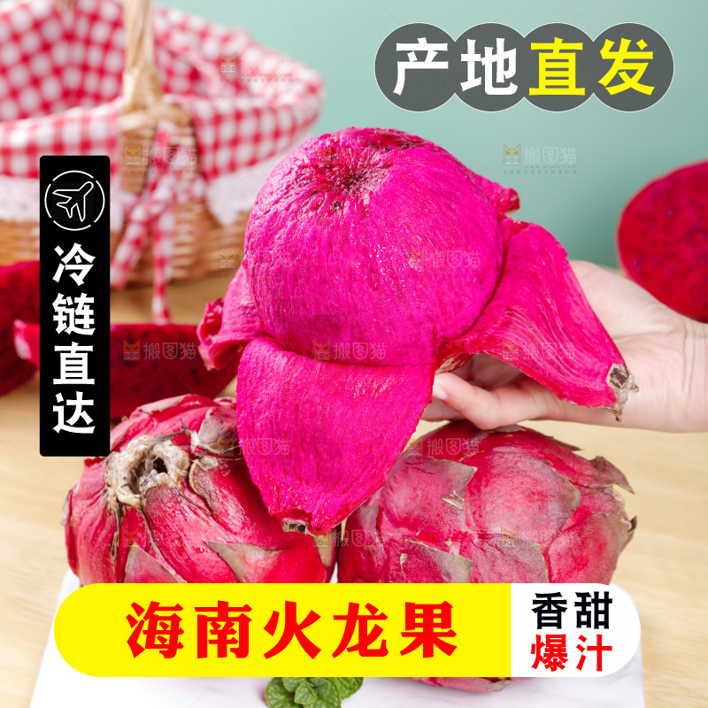 手里拿着金都一号