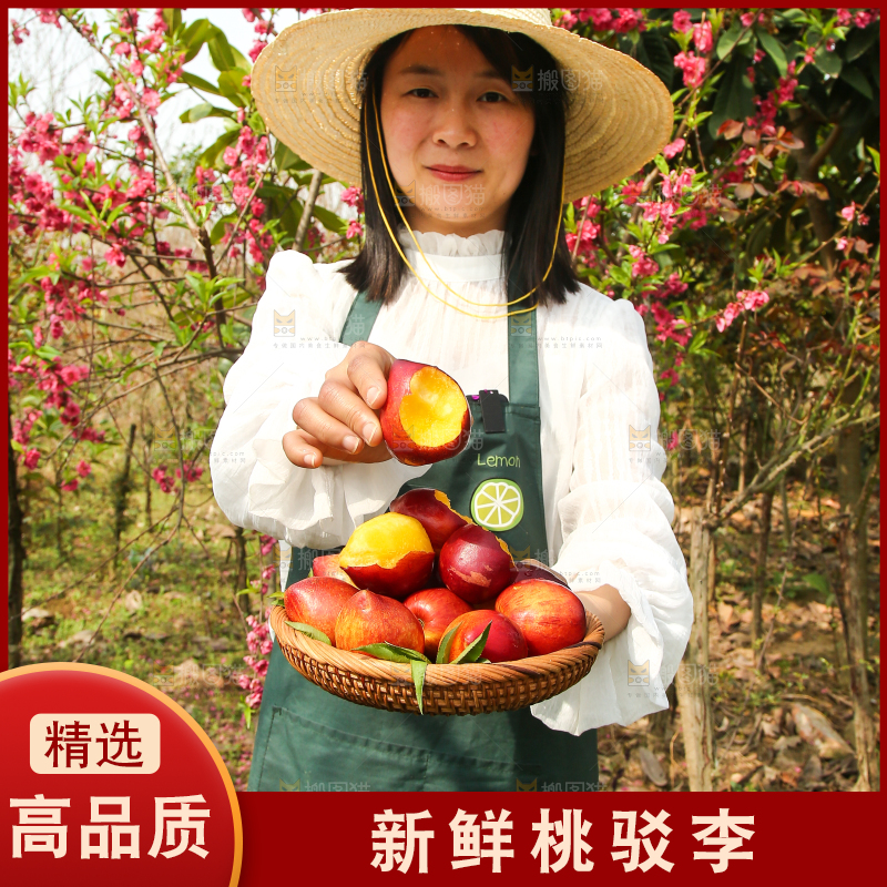 手里端着一篮桃驳李