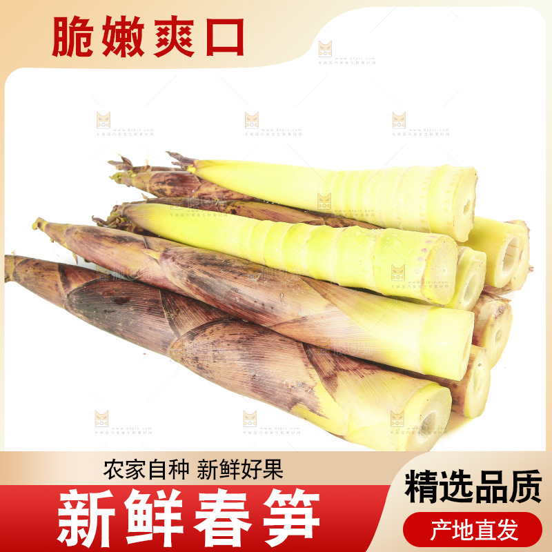 白底上放着一堆春笋