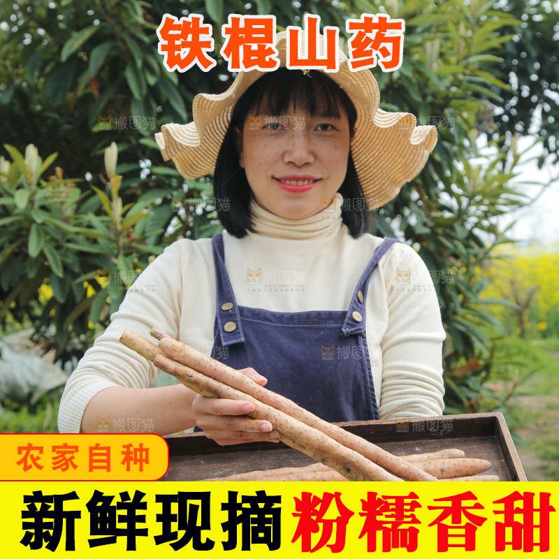 手里端着一盘铁杆山药