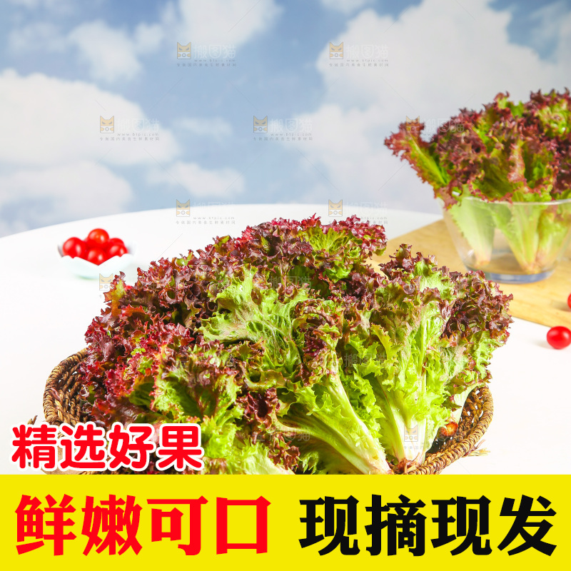 一篮紫叶生菜