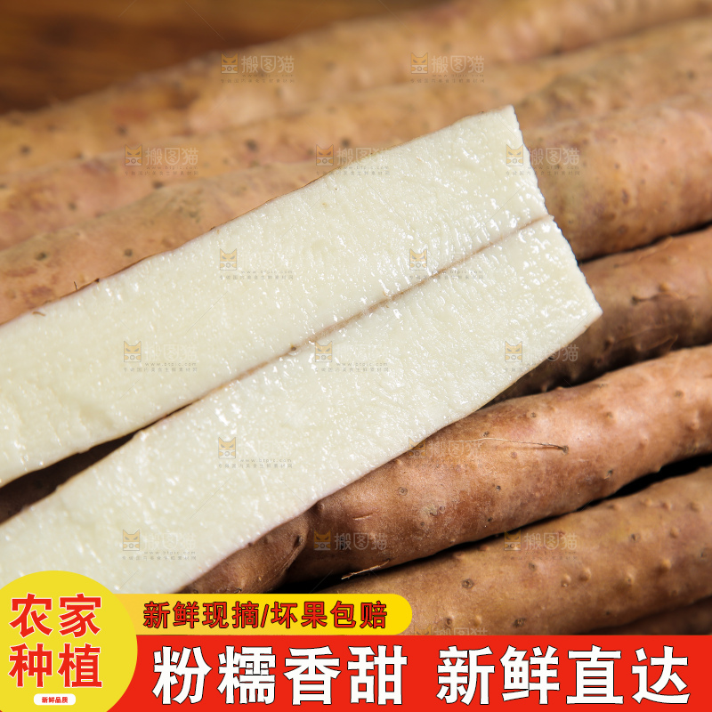 一堆铁棍山药