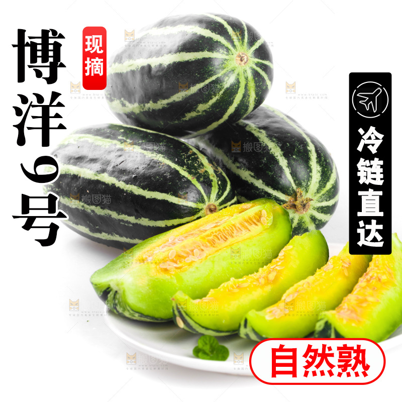 一堆博洋9号甜瓜