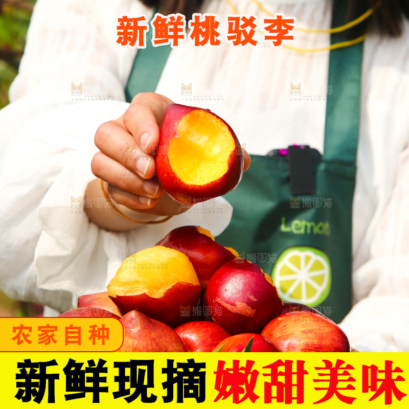 手里端着一篮桃驳李