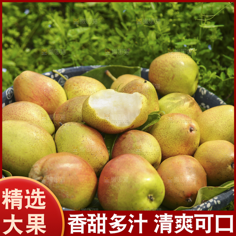 一篮红香酥梨