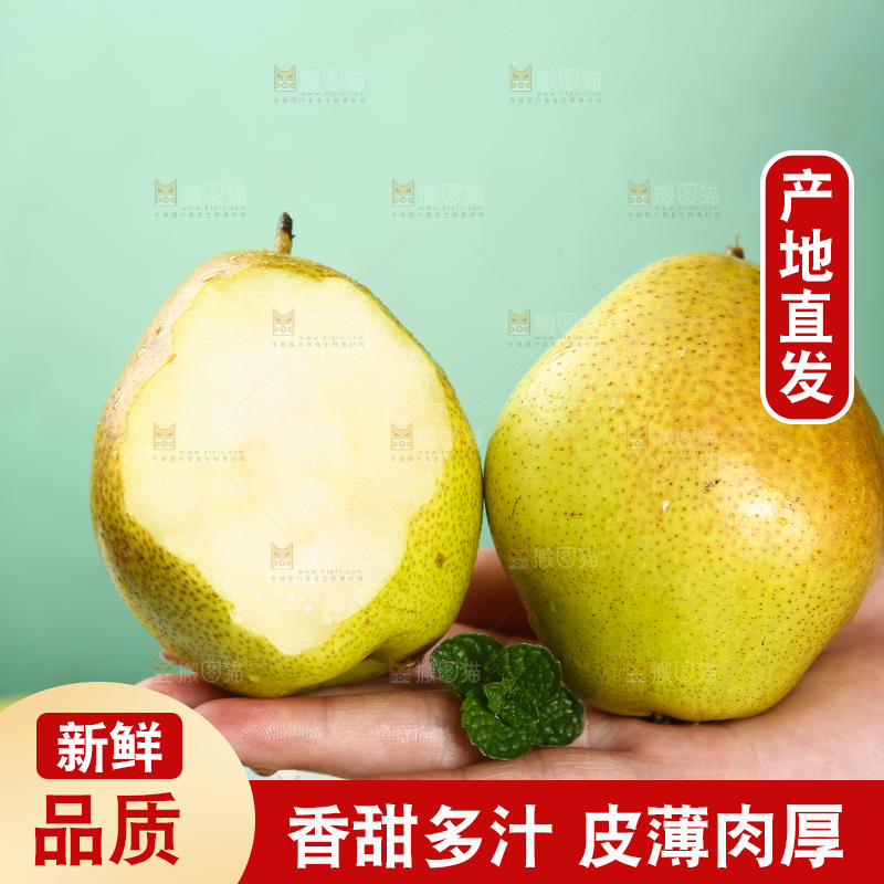 手里捧着陕西红香酥梨