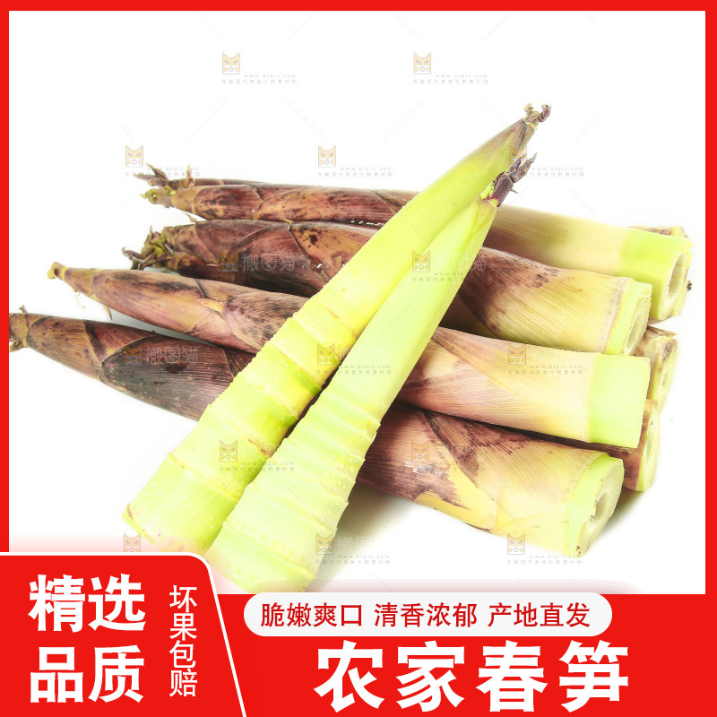 白底上放着一堆春笋