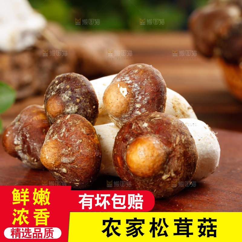 木板上放着松茸菇