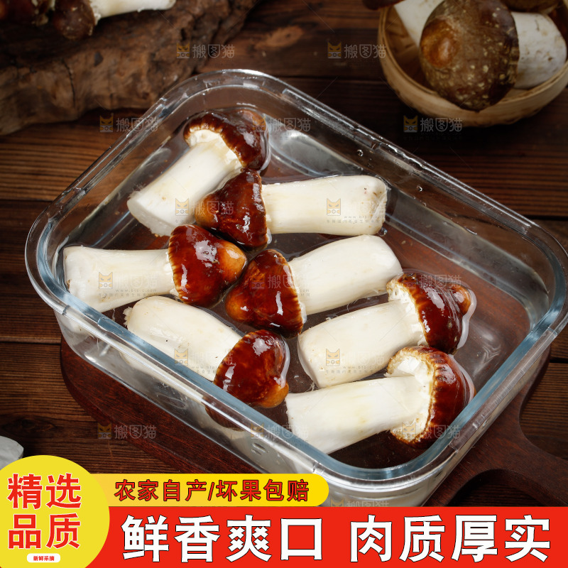 碗里泡着松茸菇