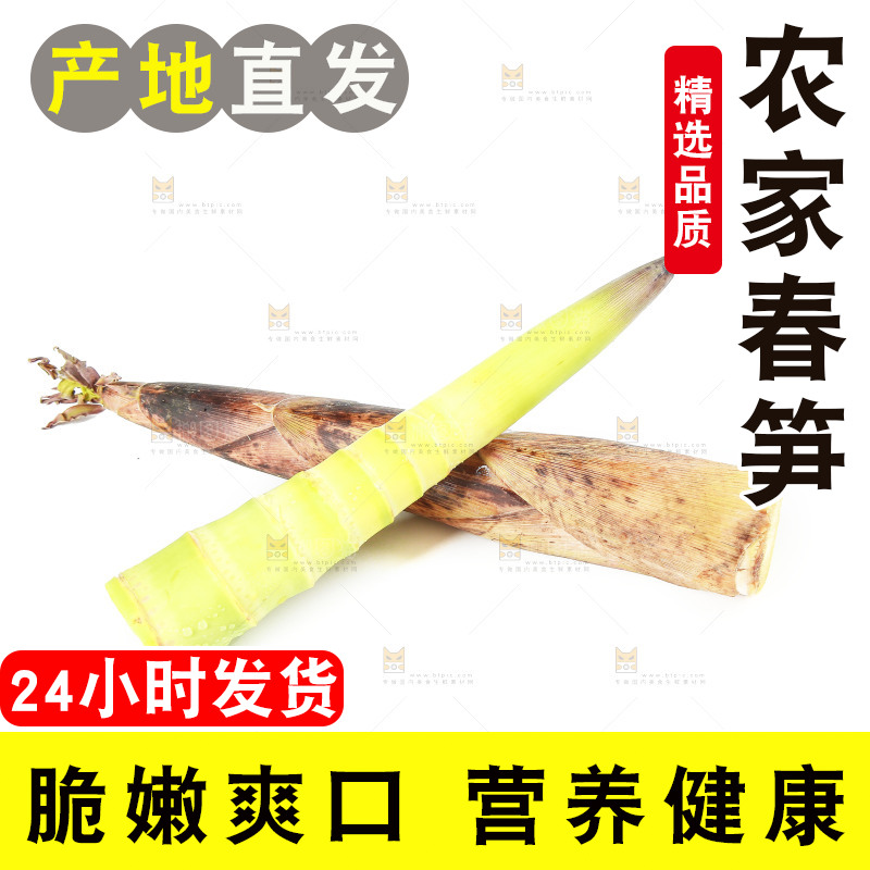 白底上摆放着春雷笋