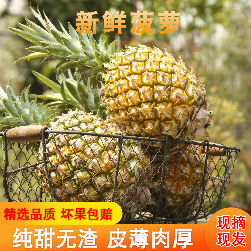 一篮徐闻菠萝