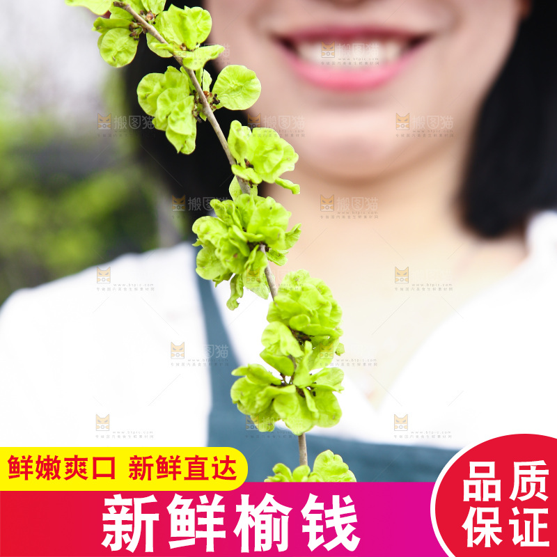 手里拿着榆钱树枝