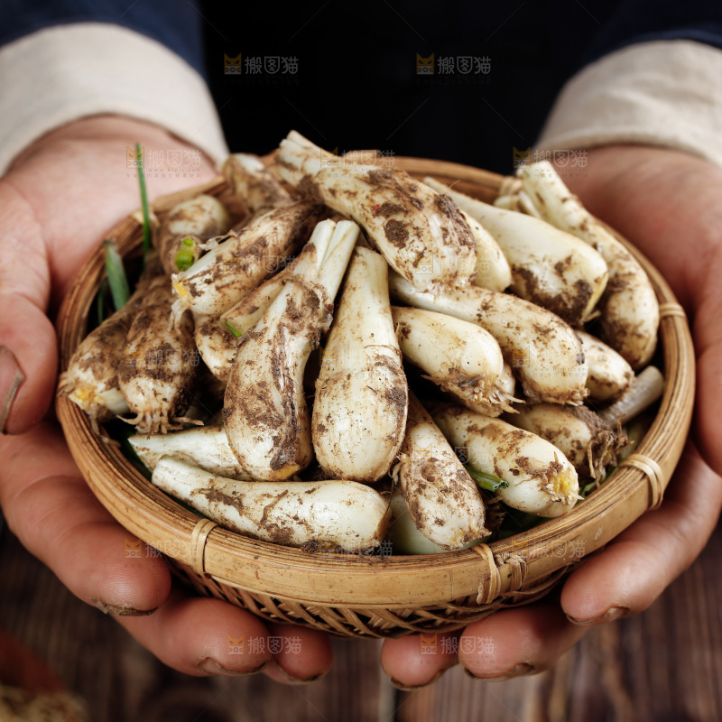手里端着一篮无叶藠头