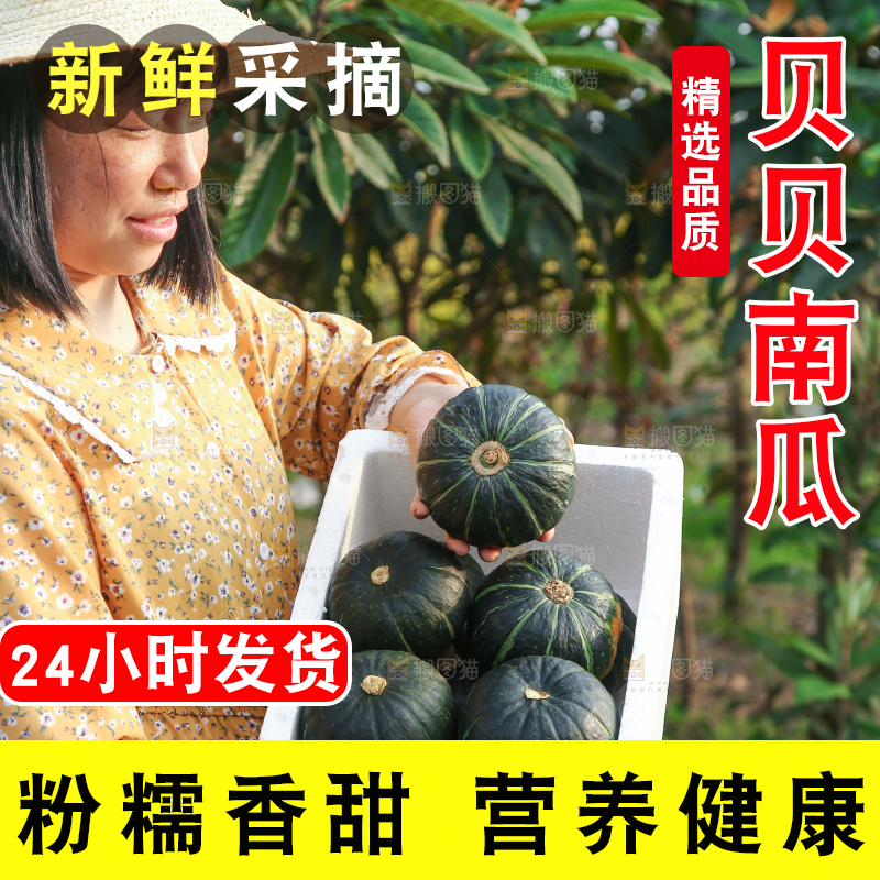 一箱贝贝小南瓜