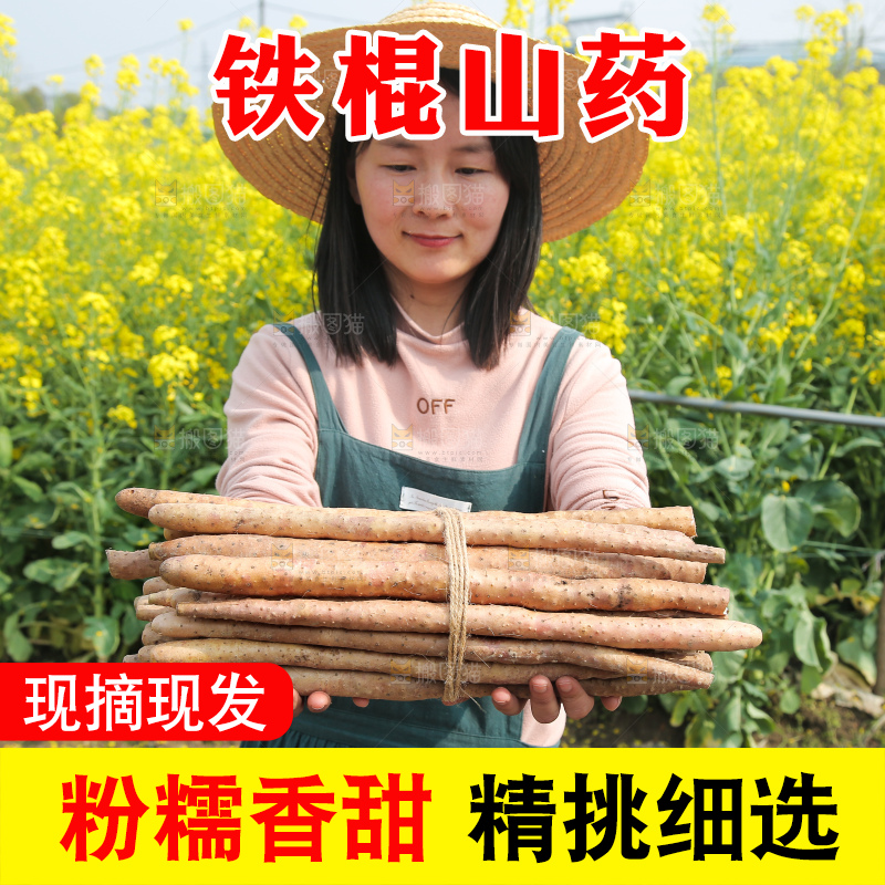 手里拿着一捆铁棍山药