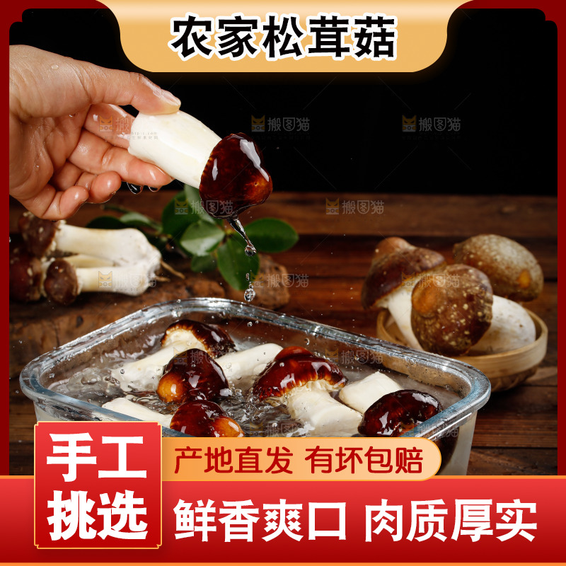 碗里泡着松茸菇