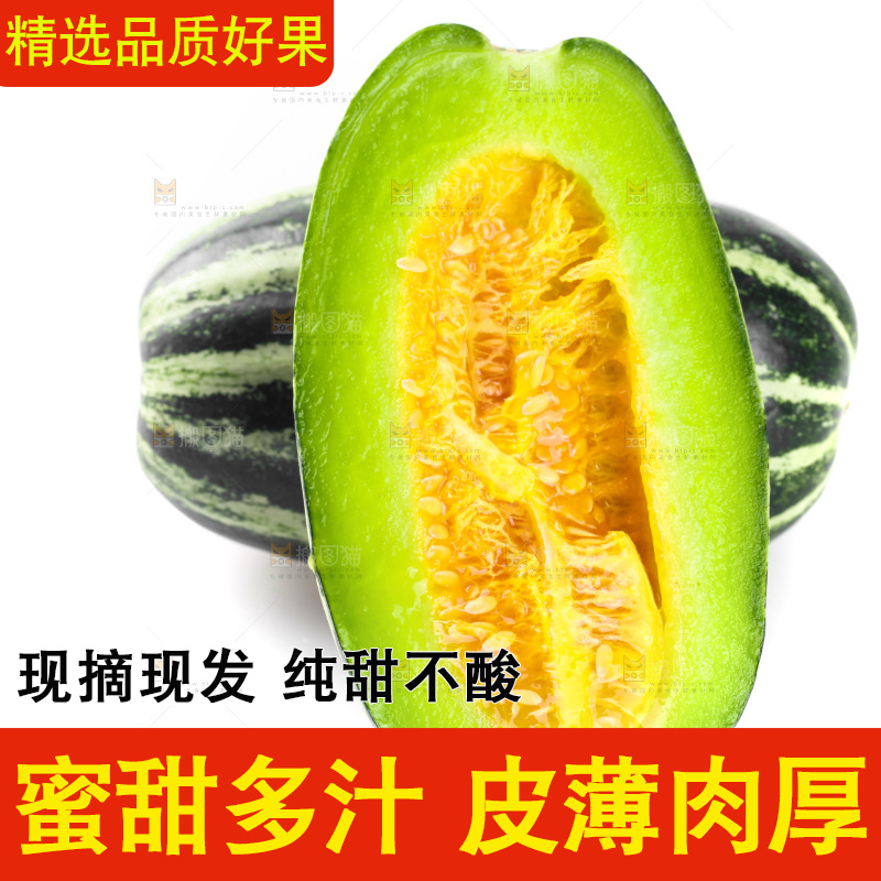 白底上摆放着博洋9号甜瓜