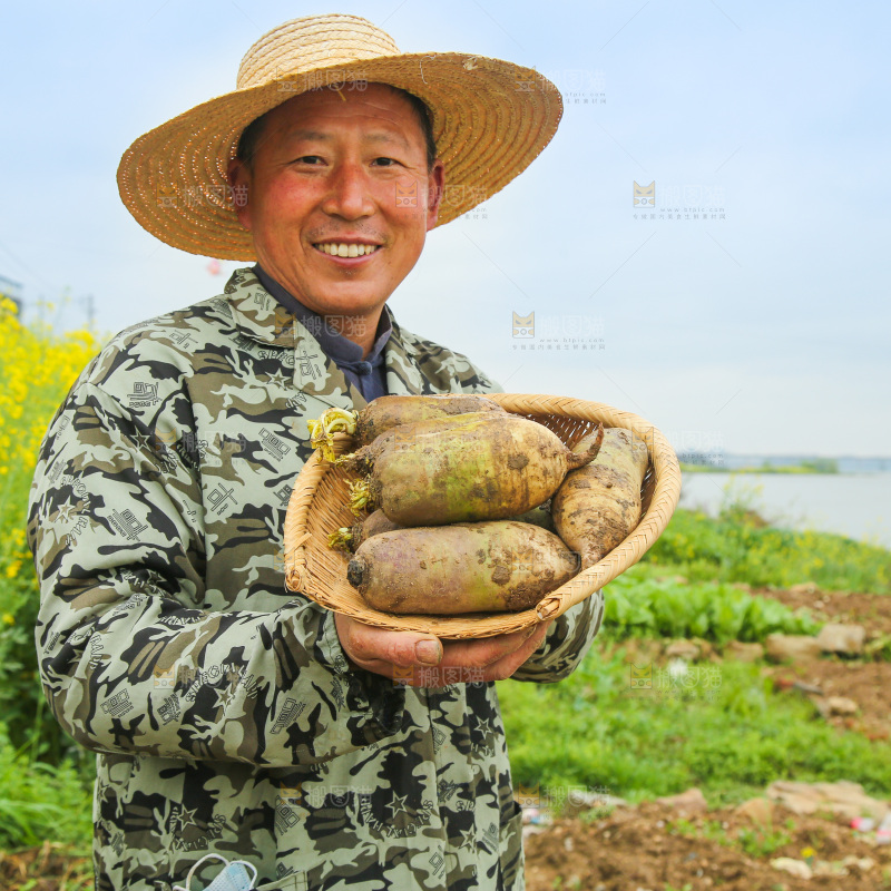 一簸箕冰激凌水果萝卜