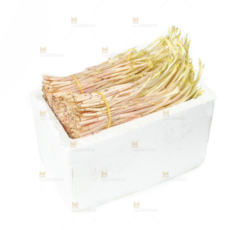 一箱新鲜鱼腥草嫩芽