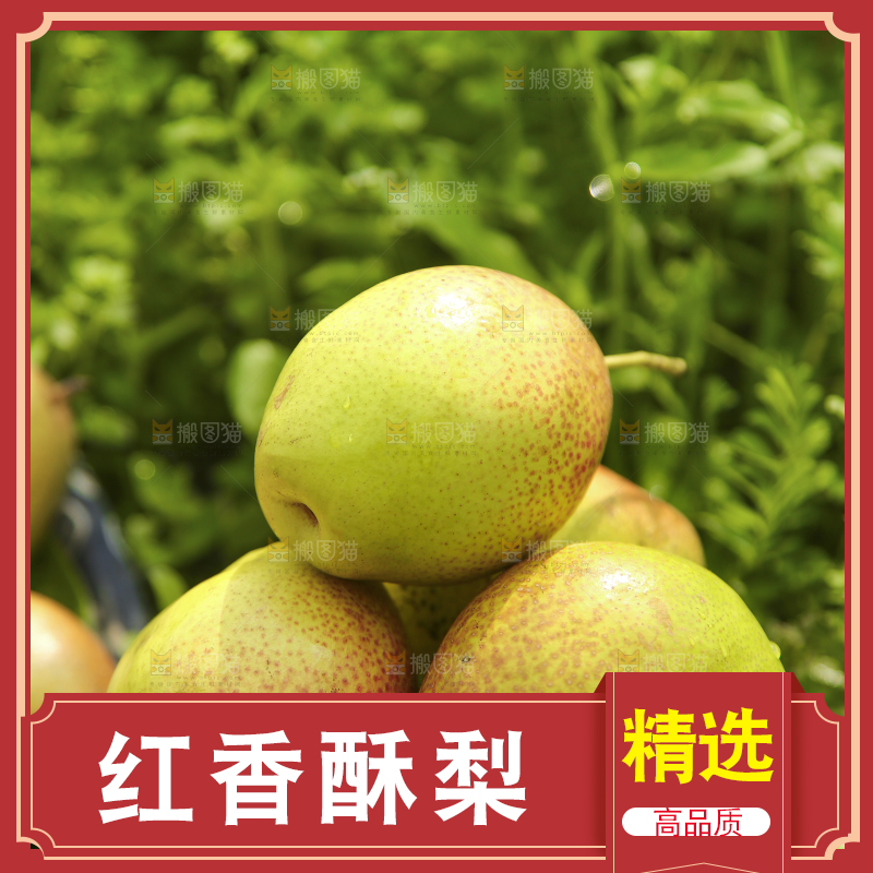 新鲜的红香酥梨