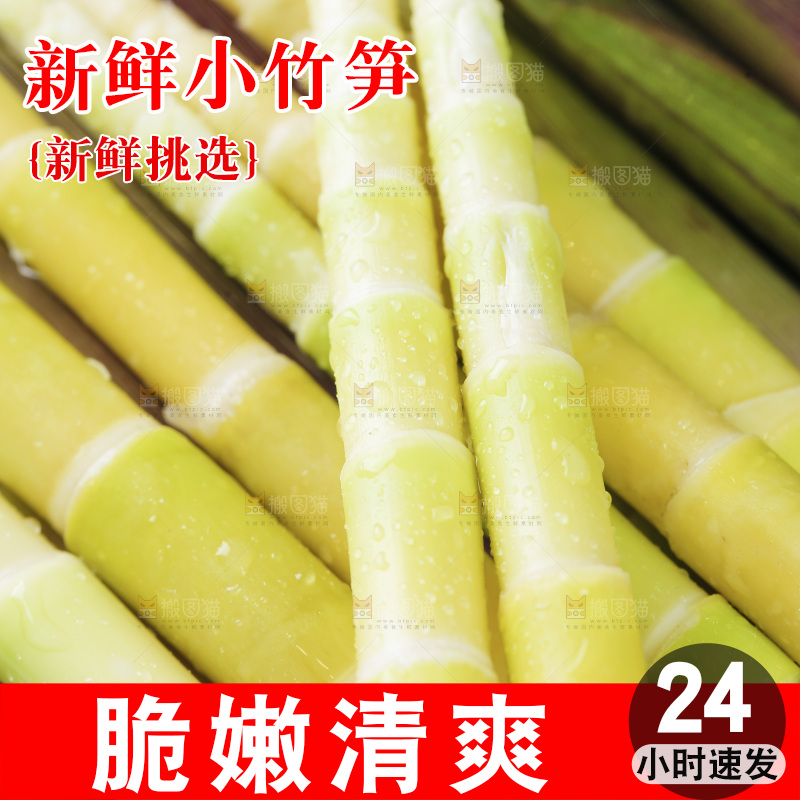 新鲜的小竹笋