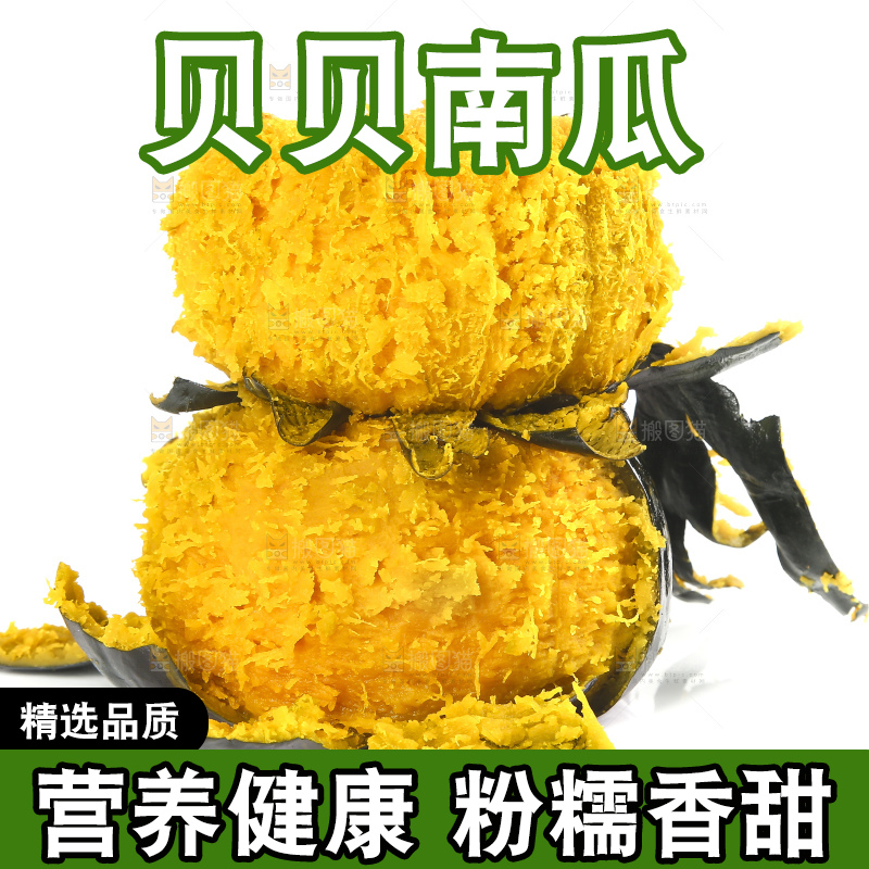 白底上的贝贝小南瓜