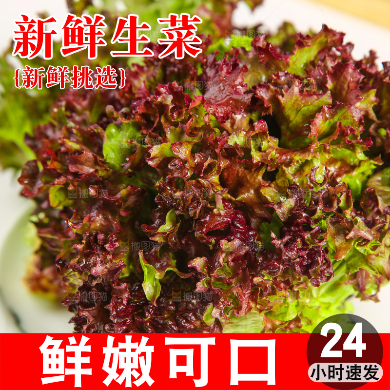 一盘红叶生菜