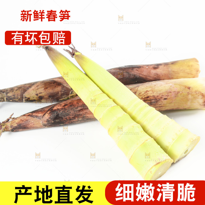 白底上摆放着春雷笋