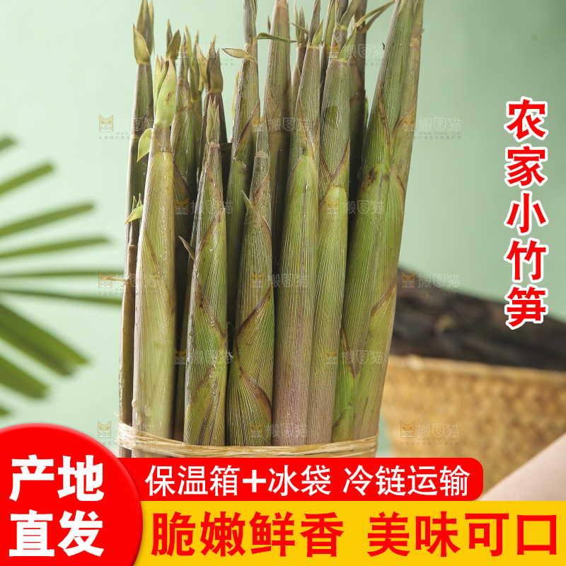 手里拿着小春笋
