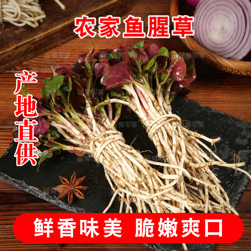 黑石板上放着鱼腥草