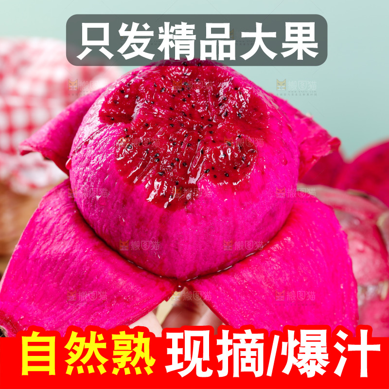 手里拿着红心火龙果
