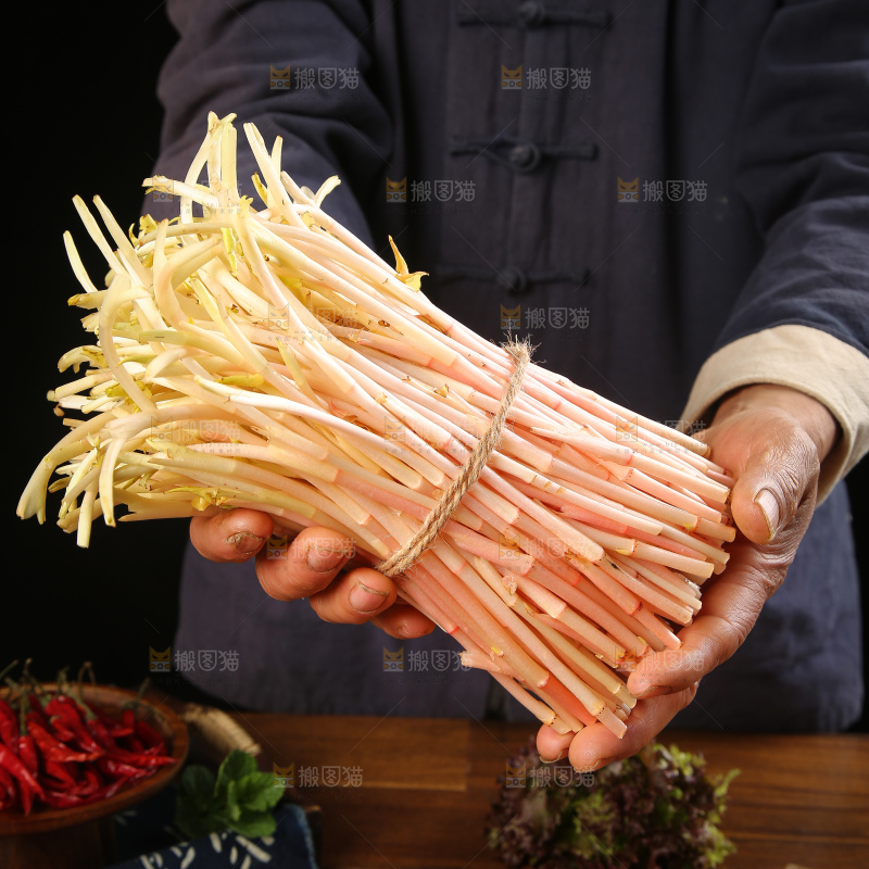 手里拿着鱼腥草嫩芽