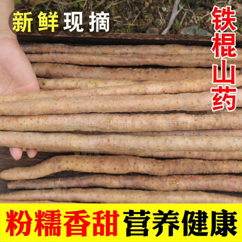 手里拿着山药