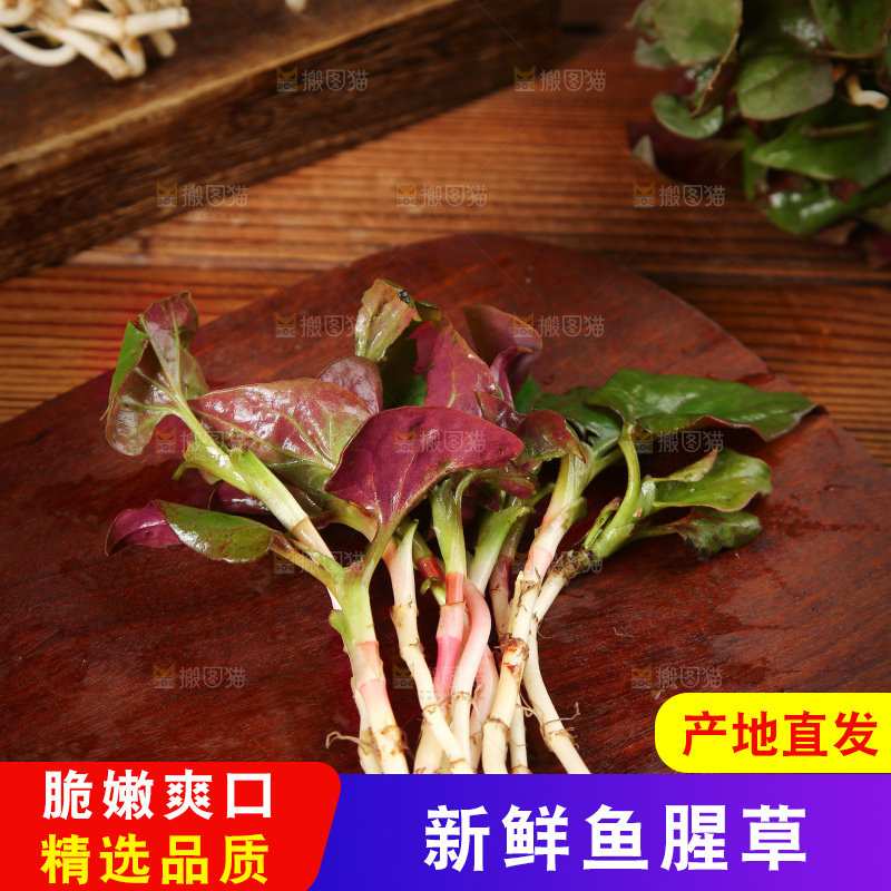 木底上放着折耳根