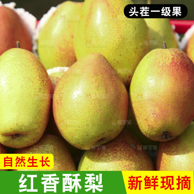 一箱红香酥梨