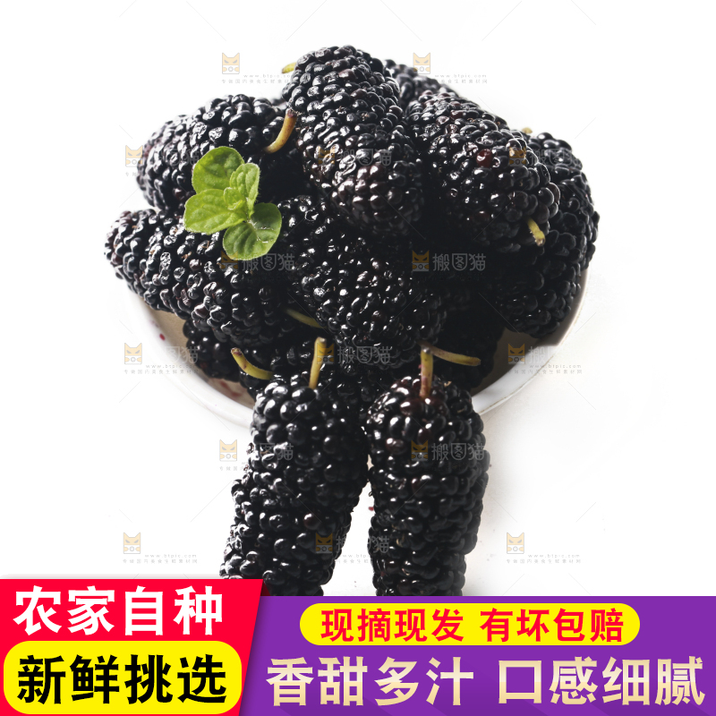 一碟桑葚果