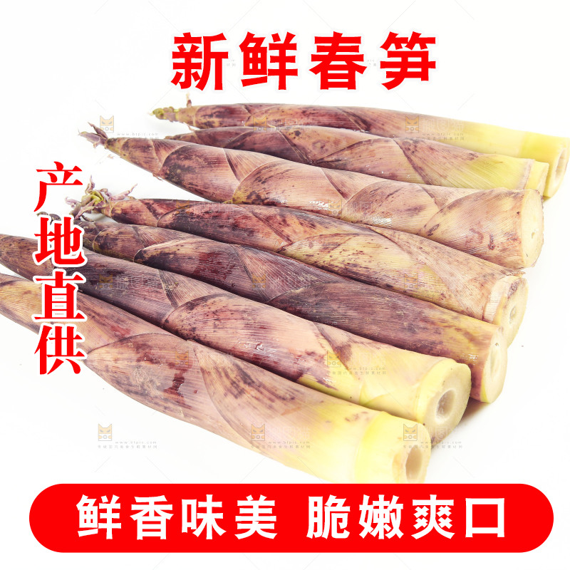白底上放着一堆春笋