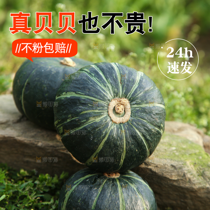 石头上放着贝贝瓜