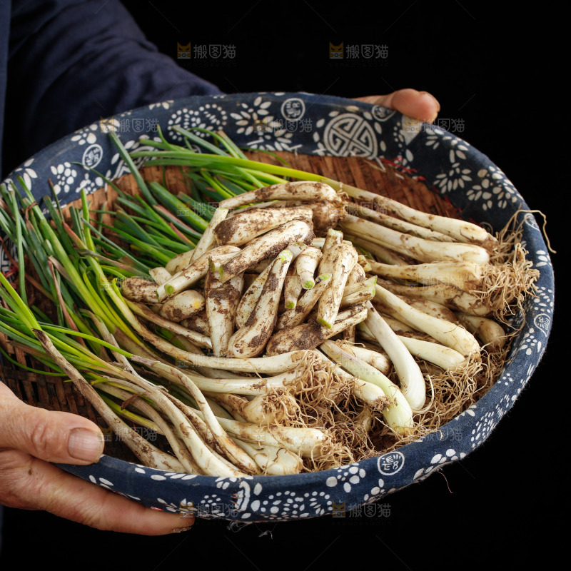 一篮新鲜藠头