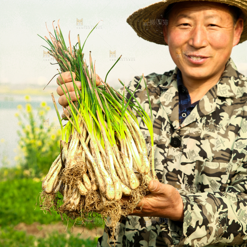 手里拿着荞头