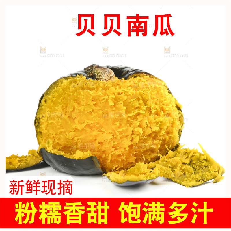 白底上的贝贝小南瓜