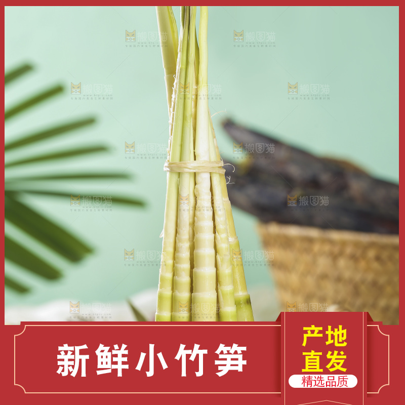 一篮野生小竹笋