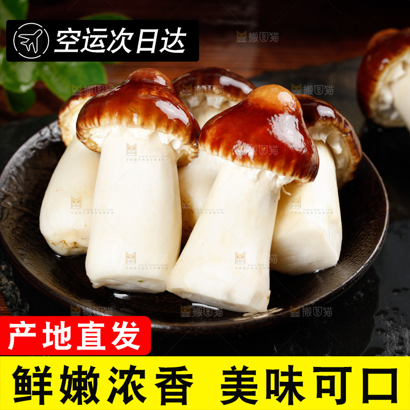 一盘姬松茸