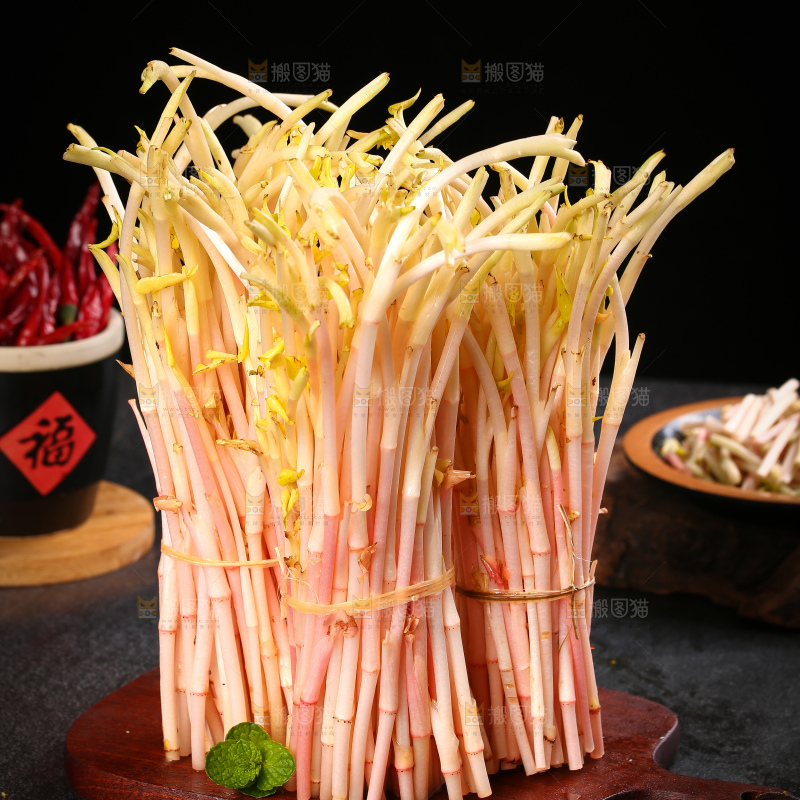 一堆折耳根嫩芽